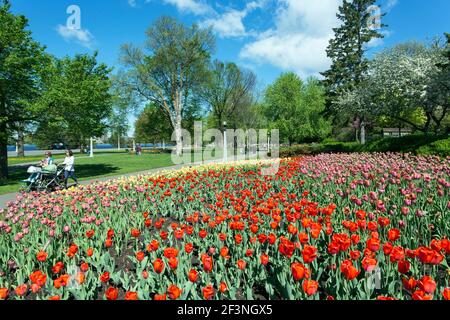 Canada, Ontario, Ottawa, Commissioners Park, Tulip Festival Foto Stock