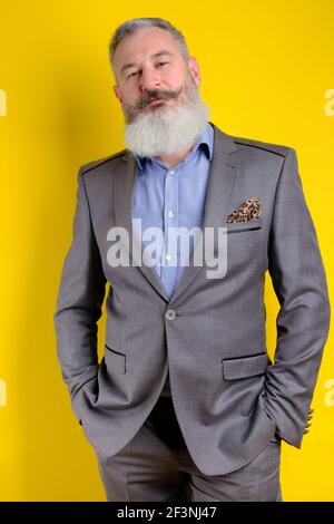 Studio ritratto maturo bearded bell'uomo in abito da lavoro grigio che guarda alla fotocamera, professione di lavoro stile di vita, sfondo giallo. Foto Stock