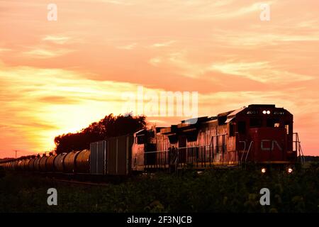 Burlington, Illinois, Stati Uniti. Con il sole che tramonta dietro di esso, un treno merci che si sposta verso Chicago passa attraverso l'Illinois rurale. Foto Stock