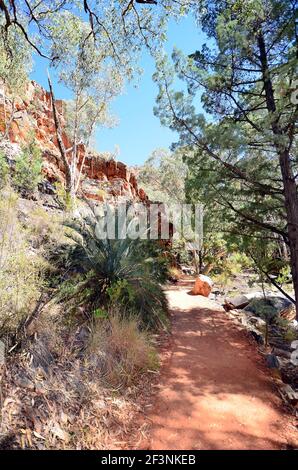 Australia, NT, sentiero a Simpson Gap, Macdonnell parco nazionale Foto Stock