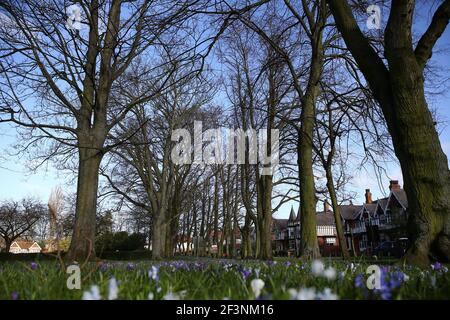 Grimsby, Regno Unito. 17 marzo 2021. Una vista generale mentre i fiori iniziano a fiorire nel People's Park, Grimsby, North East Lincolnshire, Inghilterra. Credit: Ashley Allen/Alamy Live News. Foto Stock