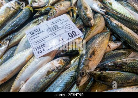 Sgombro pesce fresco sul mercato di Tavira, Algarve Portogallo Foto Stock