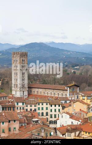 Viste generali sulla tipica architettura toscana, le case e i tetti di Lucca, Toscana. La vista dalla Torre Guinigi di Lucca. Foto Stock