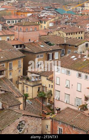 Viste generali sulla tipica architettura toscana, le case e i tetti di Lucca, Toscana. La vista dalla Torre Guinigi di Lucca. Foto Stock