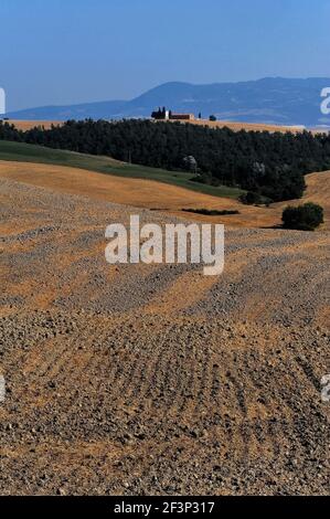 La stoppia grigia di argilla e arancio di un campo di grano arato nelle Crete Senesi contrasta con boschi, praterie e lontane colline blu in questa vista della Cappella della Madonna di Vitaleta nella Val d’Orcia, Toscana, Italia. La cappella, fondata qualche tempo prima del 1590, è un simbolo iconico del Rinascimento italiano, patrimonio dell'umanità dell'UNESCO. Foto Stock