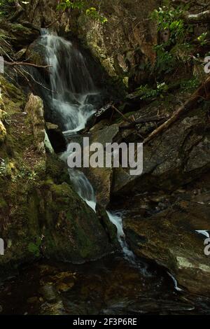 Crater Falls sul Lake Lilla Track a Cradle Mountain National Parco in Tasmania Foto Stock