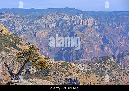 Vista sul Copper Canyon / Barrancas del Cobre vicino El Divisadero nella Sierra Madre Occidental a Chihuahua in Messico nordoccidentale Foto Stock