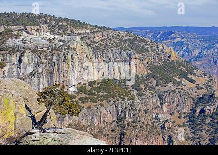 Vista sul Copper Canyon / Barrancas del Cobre vicino El Divisadero nella Sierra Madre Occidental a Chihuahua in Messico nordoccidentale Foto Stock