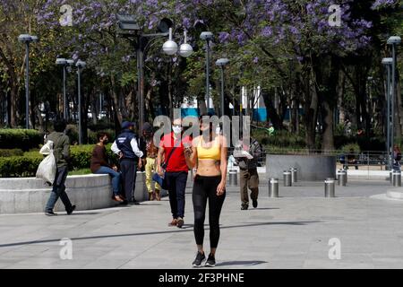 Non esclusivo: CITTÀ DEL MESSICO, MESSICO MARZO 17: Una donna prende un selfie che sfrutta il paesaggio della jacaranda con l'inizio della primavera, indossa il volto Foto Stock