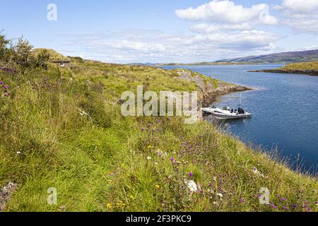 Il piccolo porto sulla piccola isola di Eilean Mor MacCormick, Argyll & Bute, Scozia Regno Unito Foto Stock