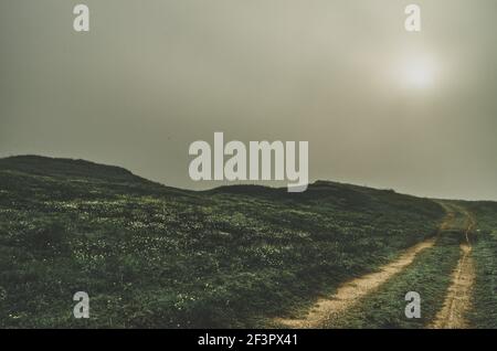 Panorama cinematografico di piste di pneumatici sulla riva del fiume su un'alba nebbiosa del mattino Foto Stock