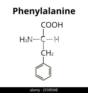 La fenilalanina è un amminoacido. Formula chimica molecolare fenilalanina aminoacido. Illustrazione vettoriale su sfondo isolato Illustrazione Vettoriale