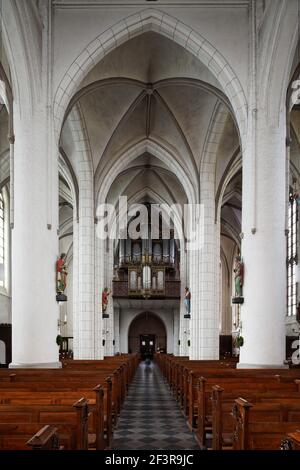 Blick nach Westen, Straelen, San Pietro e Paolo Foto Stock