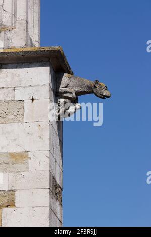 Wasserspeier an der Nordseite, Regensburg, Dom St. Peter Foto Stock
