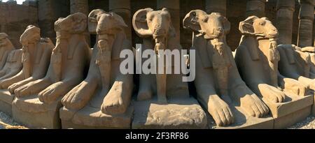 Complesso del Tempio di Karnak Egypt Avenue of RAM-headed Sphinxes la RAM Simbolo del Dio egiziano Amun che protegge le Effigies reali di Rameses II nel fo Foto Stock