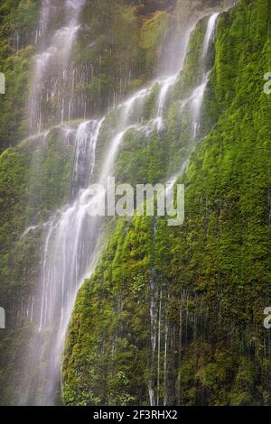 Cascata stagionale lungo il Tanner Creek dell'Oregon. Foto Stock