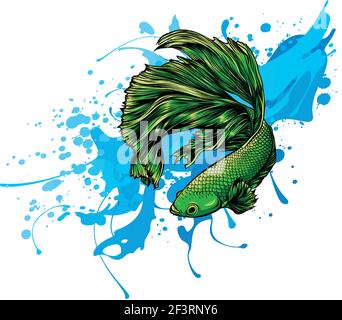 spruzzi d'acqua con pesci intorno. Illustrazione vettoriale. Illustrazione Vettoriale