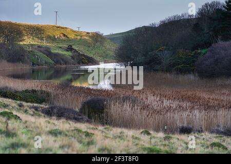 St Abbs, Berwickshire, Scozia - villaggio di pescatori del Mare del Nord e riserva naturale - Mire Loch Foto Stock