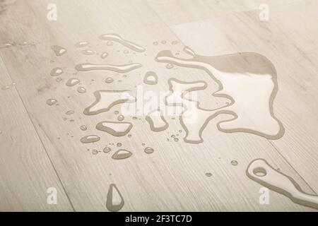 Acqua e umidità sul pavimento in parquet nel soggiorno. Protezione contro l'umidità per pavimenti e laminati in legno. Foto Stock