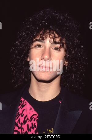 Meeno Peluce 1985 Credit: Ralph Dominguez/MediaPunch Foto Stock