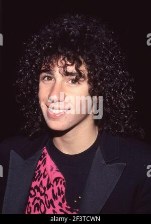 Meeno Peluce 1985 Credit: Ralph Dominguez/MediaPunch Foto Stock