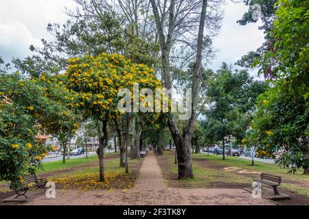 Vicolo centrale della strada del Parkway, la soledad, Teusaquillo, Bogota, Colombia Foto Stock