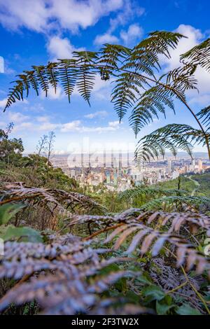 Vista di Bogotà dal San Francisco Trail a Vicachá, Colombia Foto Stock