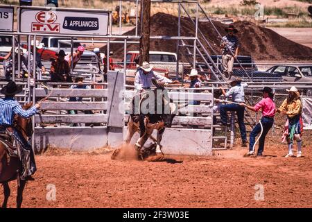 Il toro si spezza dallo scivolo durante l'evento di equitazione in un rodeo di una piccola città del New Mexico. Il clown rodeo è pronto ad assistere il cowboy Foto Stock