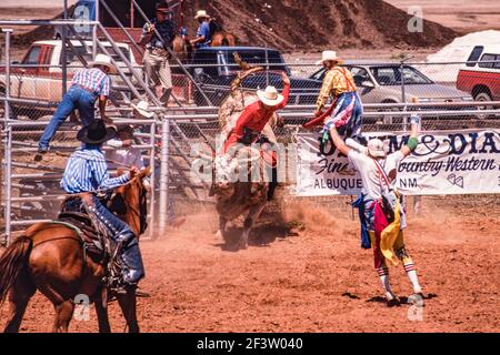 Il toro si spezza dallo scivolo durante l'evento di equitazione in un rodeo di una piccola città del New Mexico. Il clown rodeo è pronto ad assistere il cowboy Foto Stock