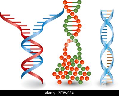 Immagini astratte di catene di DNA rotte Illustrazione Vettoriale