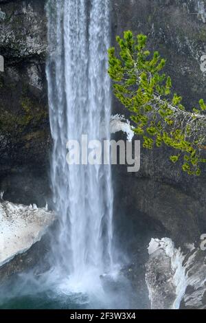 Cascata, Brandywine Falls, Whistler, British Columbia, Canada Foto Stock