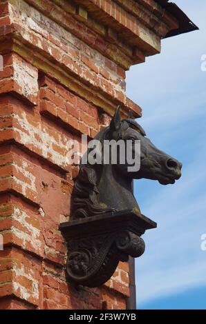 Profilo della testa di un cavallo sul muro una fattoria abbandonata del XIX secolo contro un cielo blu (Oblast di Pskov, Russia) Foto Stock