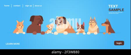 gruppo di cani purebred furry amici umani casa animali domestici concetto cartoni animati animali ritratto spazio di copia orizzontale Illustrazione Vettoriale