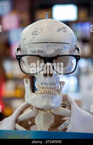 Primo piano di scrittura su cranio di uno scheletro umano in Un camice bianco e bicchieri neri Foto Stock