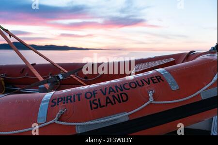 Scialuppa di salvataggio di smeraldo sul traghetto BC 'Spirit of Vancouver Island', navigando al tramonto vicino Victoria, BC, Canada Foto Stock