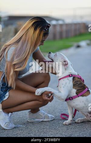 Primo piano di donna e il suo cucciolo di pitbull Foto Stock