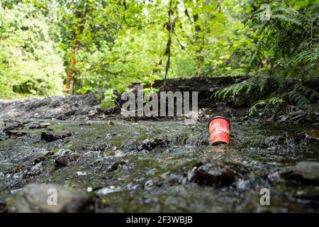 Chilliwack, British Columbia, Canada - 14 maggio 2020: Scartato la tazza di caffè di Tim Horton in un flusso di foresta Foto Stock