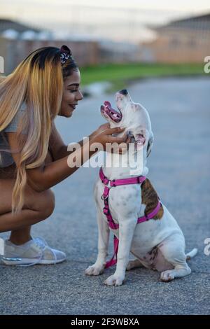 Donna che mostra interessando verso il suo cucciolo di pitbull Foto Stock