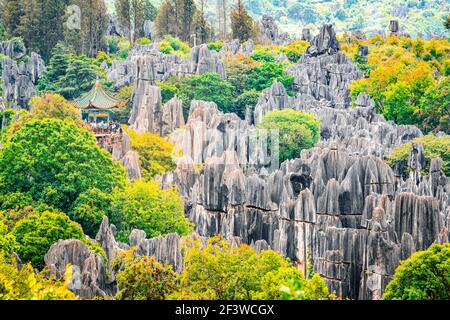 Vista panoramica della foresta di pietra Shilin Major con autunno luminoso Colori a Kunming Yunnan Cina Foto Stock