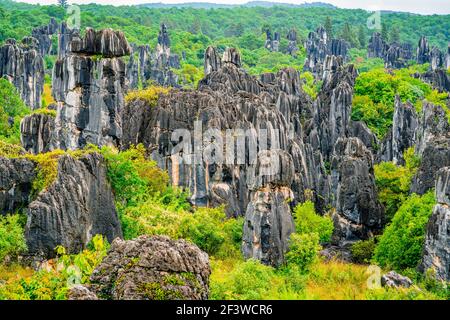 Vista panoramica della foresta di pietra Shilin con la caduta luminosa Colori a Kunming Yunnan Cina Foto Stock