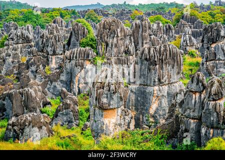 Bella vista panoramica della foresta di pietra Shilin maggiore con luminoso Colori autunnali a Kunming Yunnan Cina Foto Stock