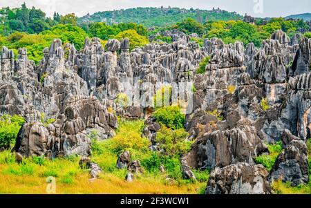 Splendida vista panoramica della foresta di pietra Shilin maggiore con luminoso Colori autunnali a Kunming Yunnan Cina Foto Stock