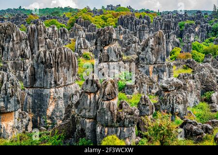 Magnifica vista panoramica della foresta di pietra Shilin Major con luminoso Colori autunnali a Kunming Yunnan Cina Foto Stock