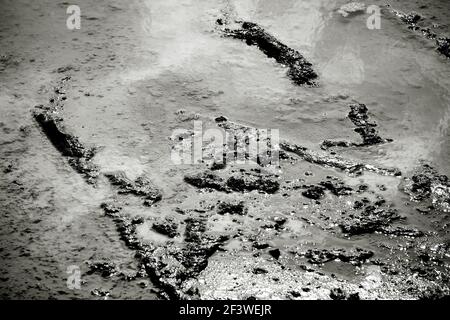 Un puddle con modelli astratti di fango naturale. Foto Stock