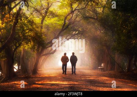 Walking in Wonderland - Bharatpur, Rajasthan Foto Stock