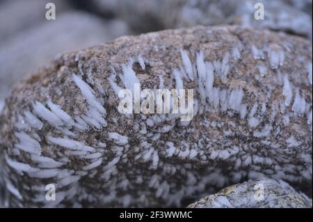 Bella vista ravvicinata della struttura ghiacciata sulle pietre a causa di forte vento, gelo e pioggia al Fairy Castle, Co. Dublino, Irlanda. Inverno insolito Foto Stock