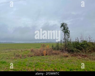 Augusta, GA USA - 02 11 21: Bellissimi pascoli verdi nel paese con nubi tempeste Foto Stock