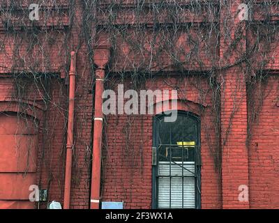 Augusta, GA USA - 02 11 21: Viti sopravite su una finestra di mattoni d'annata rossa Foto Stock