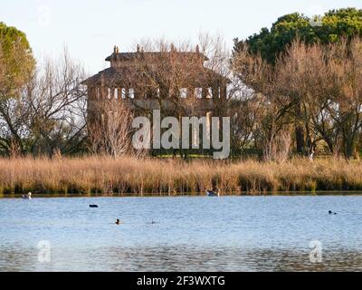 Osservatorio nel parco naturale con una laguna circondata da alberi al tramonto Foto Stock