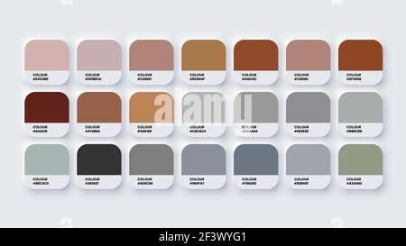 Il catalogo tavolozza colori campiona il marrone e il grigio in RGB ESADECIMALE. Vettore neomorfismo Illustrazione Vettoriale